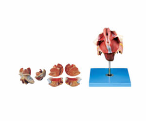 BioLab Products